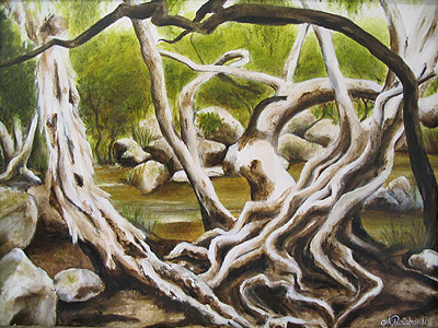 Emerald Creek II, 2006 