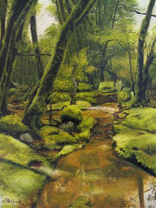 Emerald Creek I, 2006 